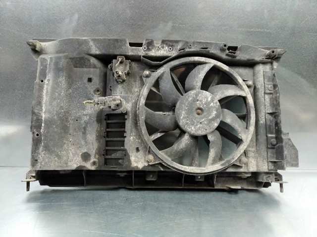 1253C0 Peugeot/Citroen