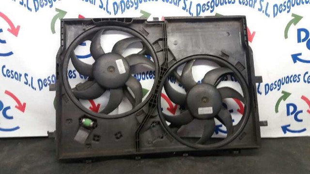 Electroventilador del motor Citroen C3 I (2002-2009)