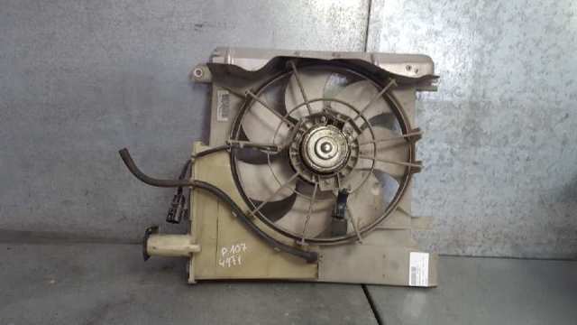 Ventilador (rodete +motor) refrigeración del motor con electromotor completo 1253G8 Peugeot/Citroen
