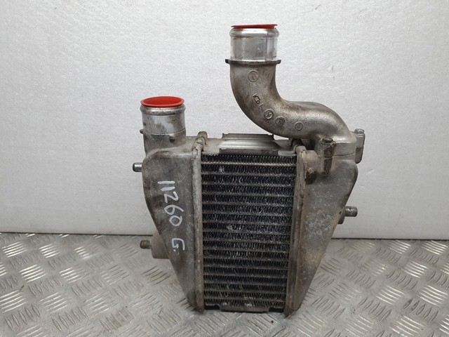 1271002450 Intercooler  en stock Castellón