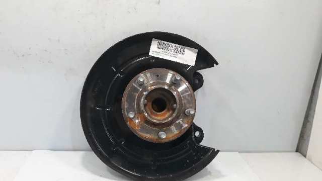 Chapa protectora contra salpicaduras, disco de freno trasero izquierdo 12778853 General Motors