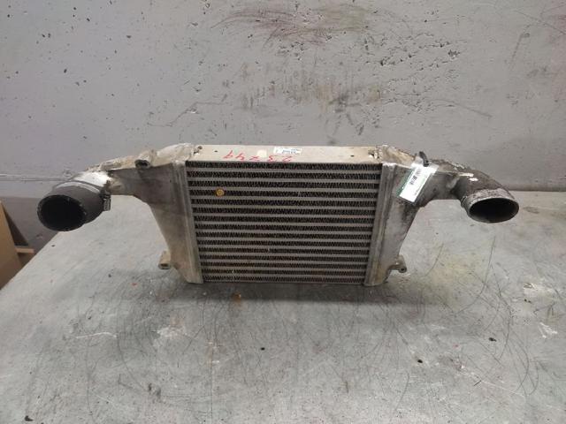 130030051F Nissan/Infiniti