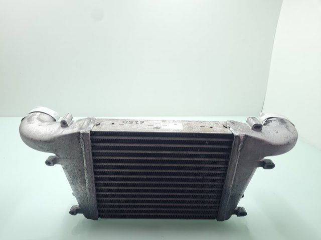Radiador de aire, intercooler Nissan Cabstar (TL, VL)