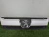 Rejilla frontal 1304703070 PEUGEOT