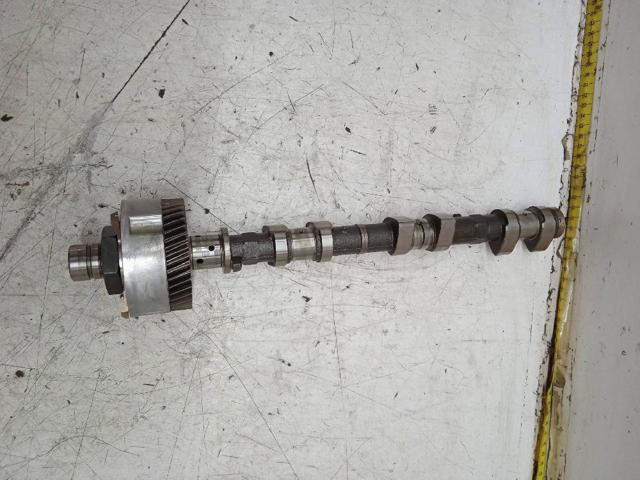 Comprar Piñón del árbol de levas Lexus RX  U3 a bajo precio