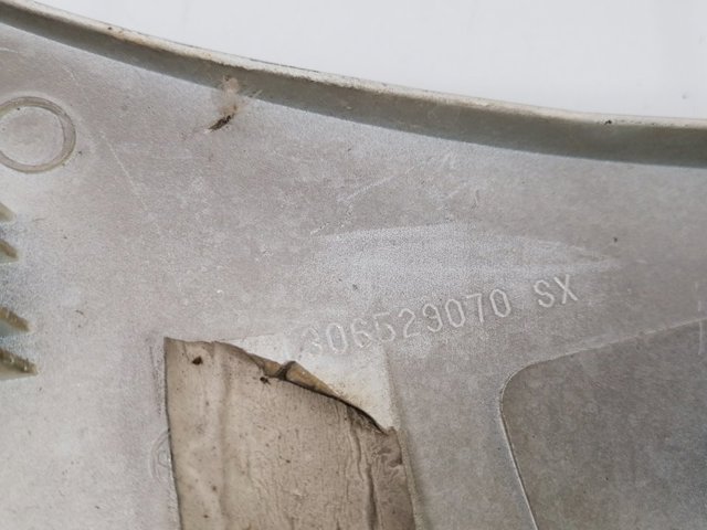1306529070 Peugeot/Citroen