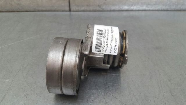 Polea tensora intermedio de correa dentada 130775630R RENAULT