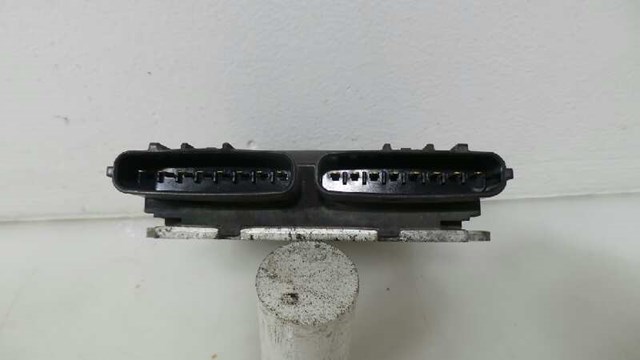 1310001241 Unidad de control del motor (ECU)  comprar en Pontevedra