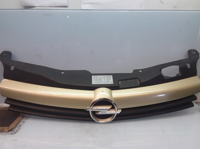 OPEL 13108463 Parrilla del radiador  disponible Valladolid