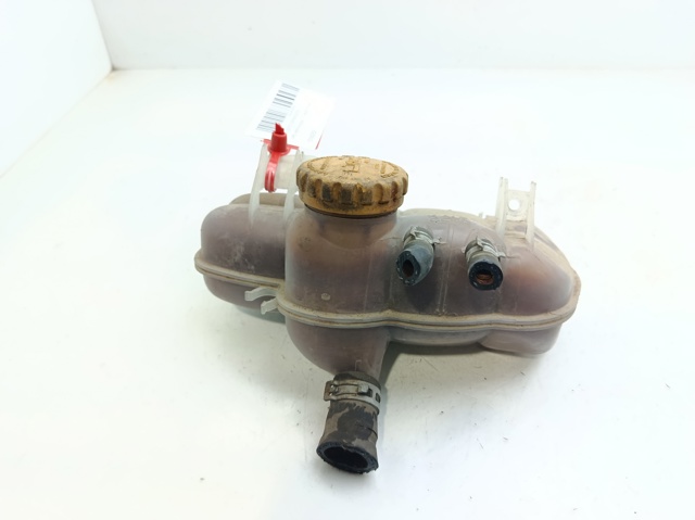 Botella expansion Opel Meriva  desde 38,64 €