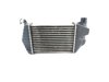 Radiador de aire de admisión 13213402 OPEL