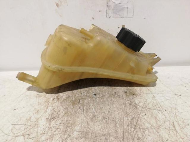 Botella de refrigeración Citroen Xsara N1