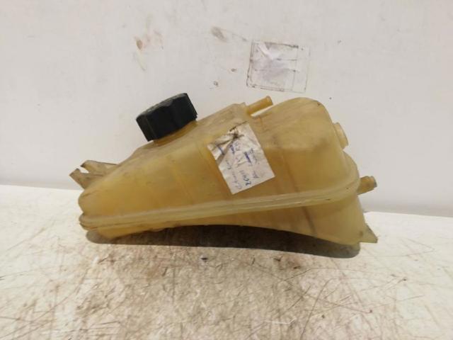 Botella de refrigeración Citroen Xsara N1