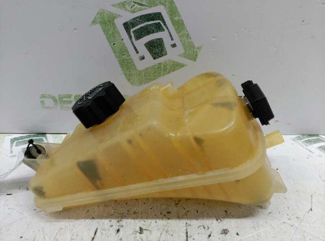 132323 PEUGEOT Vaso de expansión  en stock Huelva