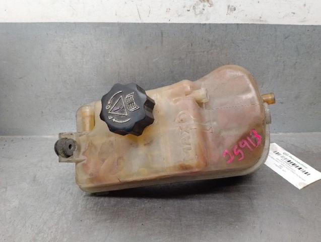 132323 PEUGEOT Vaso de expansión  en stock Córdoba