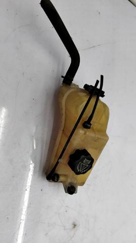 132323 PEUGEOT Vaso de expansión comprar Madrid