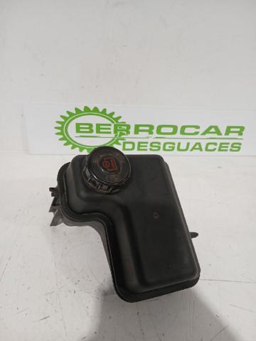 1323S7 PEUGEOT Vaso de expansión comprar Madrid