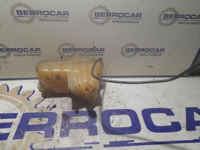 1323V1 PEUGEOT Vaso de expansión comprar Bilbao
