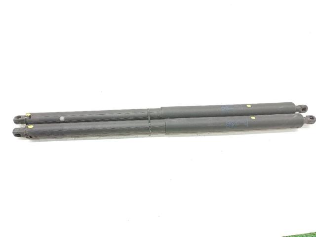 Comprar Amortiguador de puerta trasera Insignia  G09