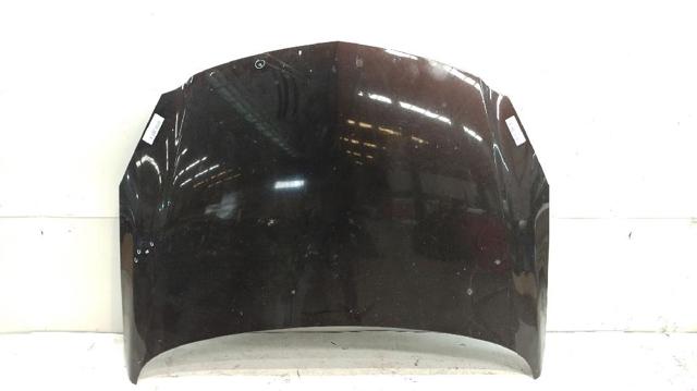 Capó para Opel Insignia G09