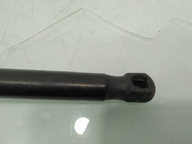13252173 Amortiguador de capó  disponible Burgos