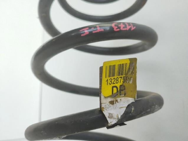 13287599 GM Muelle trasero  comprar en Lleida