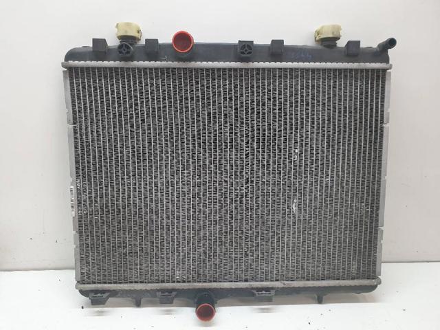 1330P9 Peugeot/Citroen
