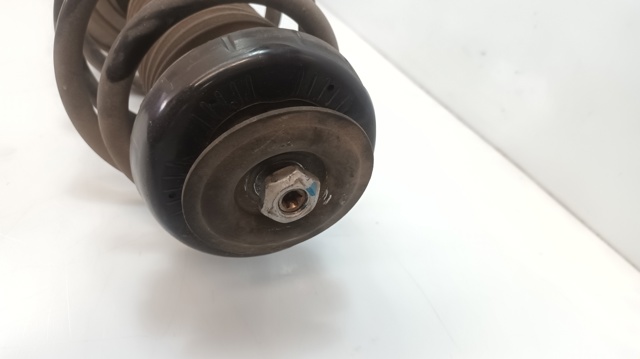 Amortiguador eje delantero izquierda 13337807 GM