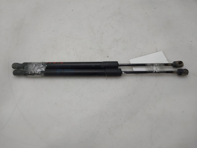 Comprar Amortiguador de puerta trasera Meriva  