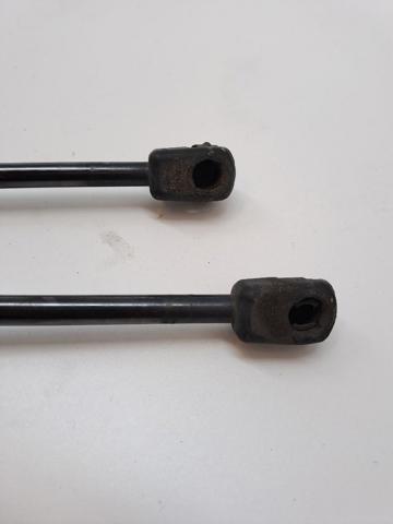 OPEL 13352789 Amortiguador de la tapa del maletero  comprar en Ponferrada