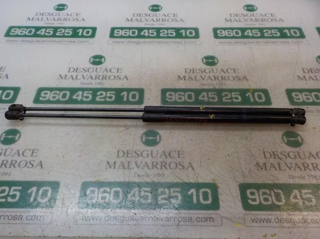 Amortiguador de maletero Opel Corsa X15