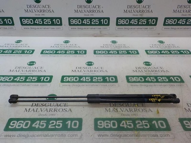 Amortiguador de maletero Opel Corsa X15