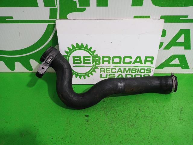 1343CL Peugeot/Citroen