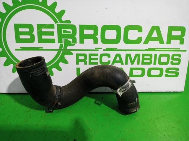 Manguera de radiador arriba 1343Z3 PEUGEOT