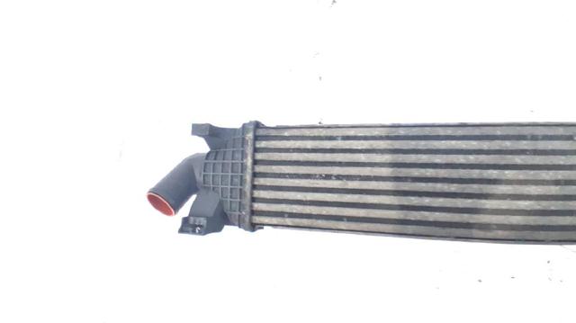 1353523 FORD Intercooler  en stock Córdoba