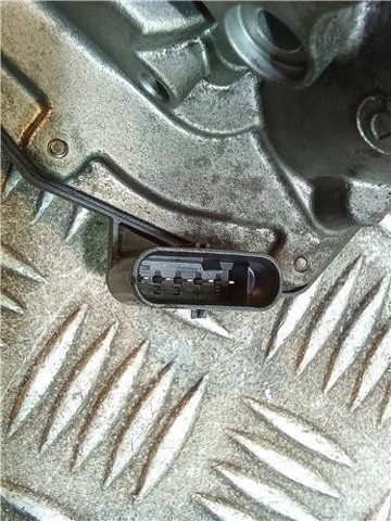 13547810752 Cuerpo de mariposa completo  disponible Burgos