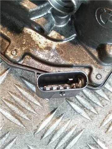 13547810752 Cuerpo de mariposa completo  comprar en Zaragoza