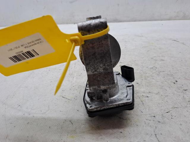 13547810752 Cuerpo de mariposa completo  comprar en Pontevedra