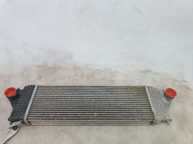 1362067J02 Suzuki