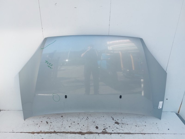 1372089 FORD Capó  en stock Huelva