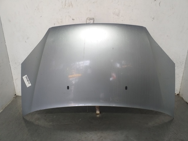 Capó delantero Ford C-Max  (2003-2007)