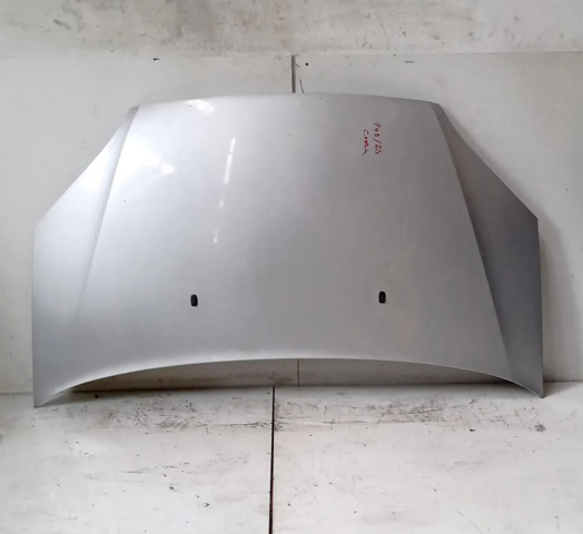 FORD 1372089 Capó comprar Tarragona