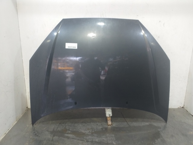 Capó del motor Ford Focus I desde 169,88 €