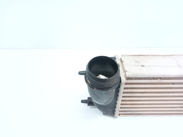 1440010980 PEUGEOT Intercooler  comprar en Oviedo