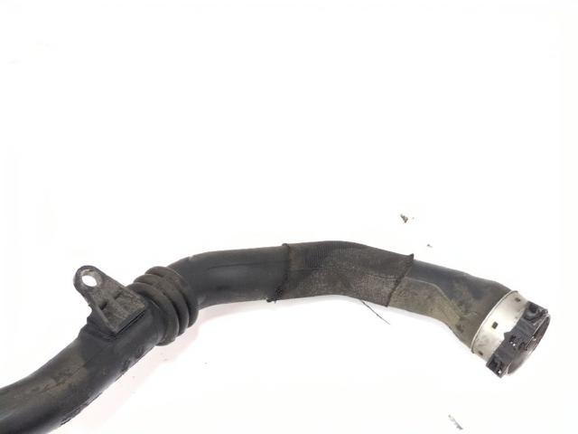 144604599R Manguera del intercooler  disponible Burgos