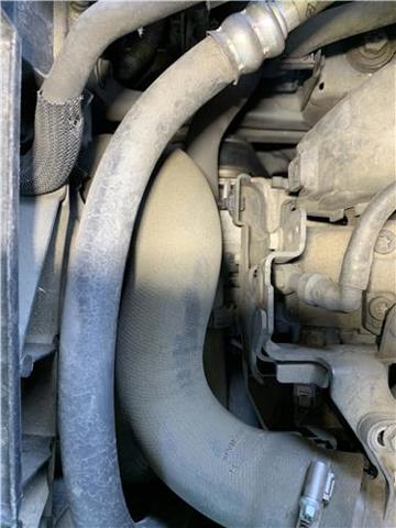 Tubo flexible de aire de sobrealimentación 144604607R RENAULT