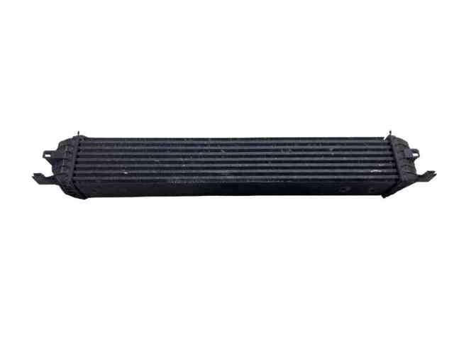 144610001N RENAULT Intercooler comprar Bilbao