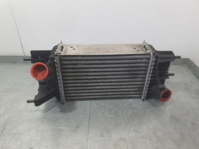 Enfriador de aire de admisión para Nissan JUKE  (F15)