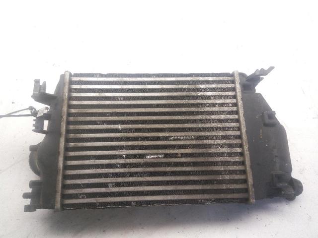 Radiador de aire de admisión Nissan Qashqai 2 J11