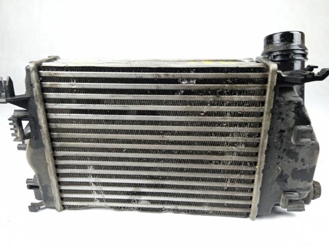 Radiador de aire de admisión Nissan Qashqai 2 J11